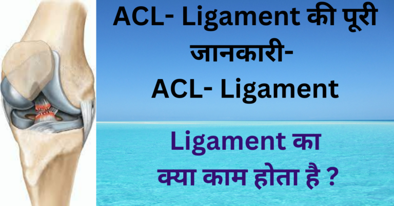 ACL-Ligament-की-पूरी-जानकारी